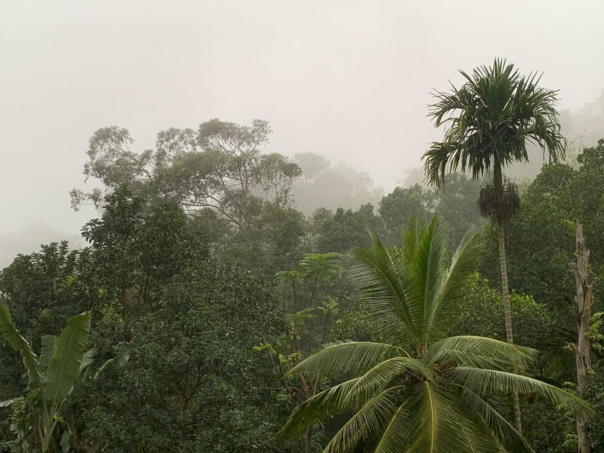 Jungle View Cottage Ella Εξωτερικό φωτογραφία