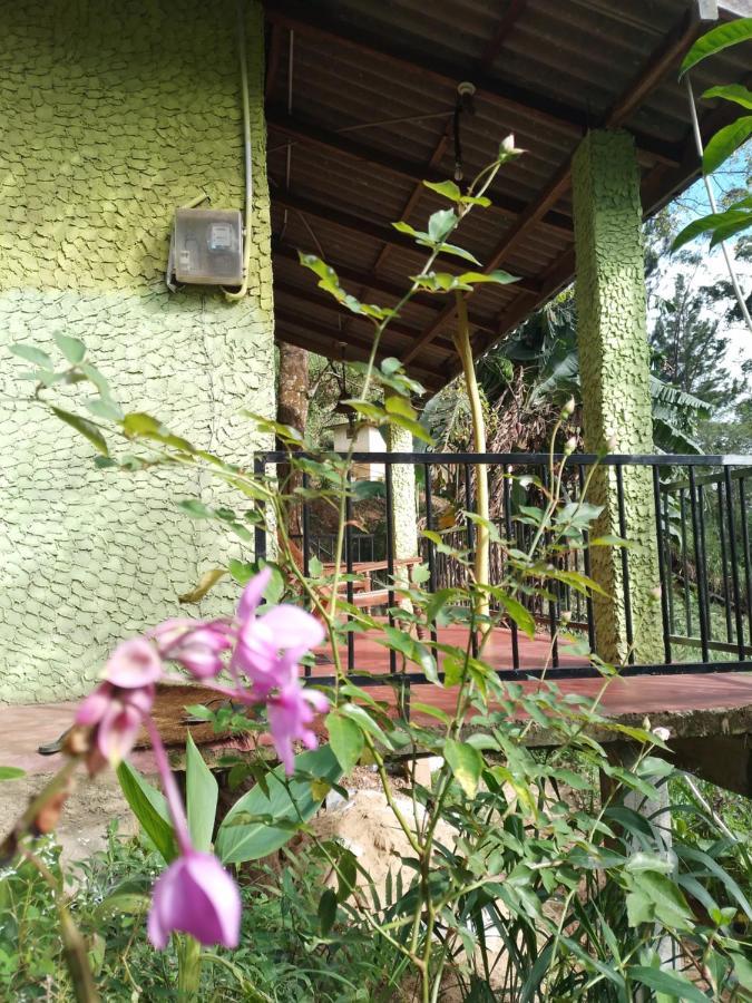 Jungle View Cottage Ella Εξωτερικό φωτογραφία