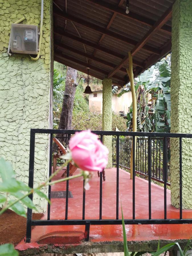 Jungle View Cottage Ella Εξωτερικό φωτογραφία