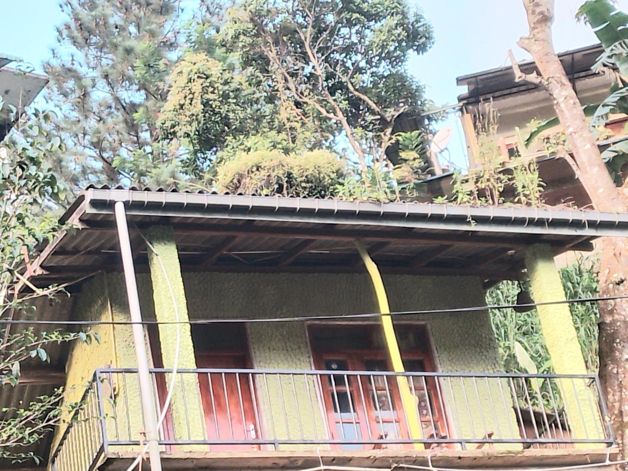 Jungle View Cottage Ella Εξωτερικό φωτογραφία