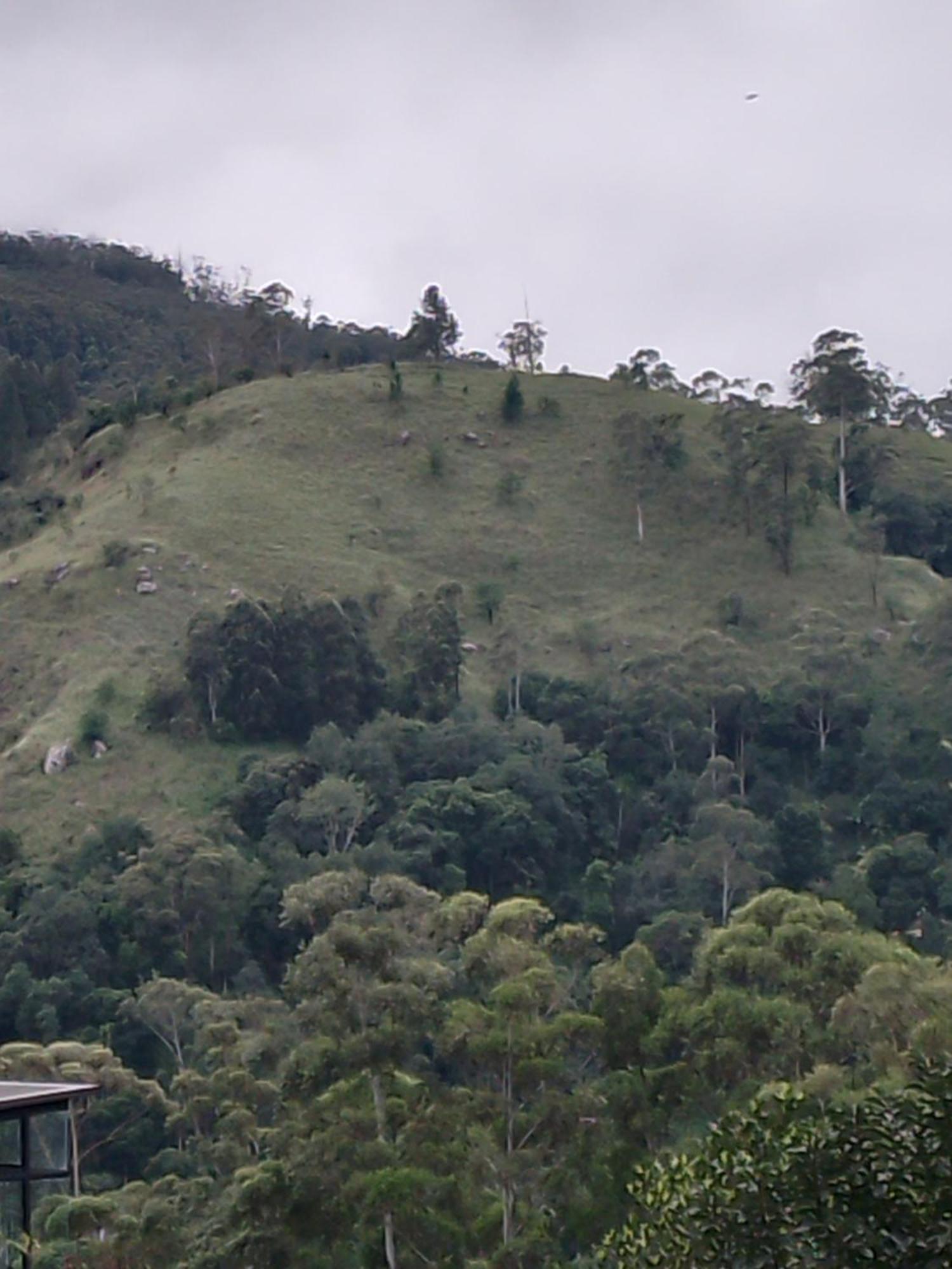 Jungle View Cottage Ella Εξωτερικό φωτογραφία